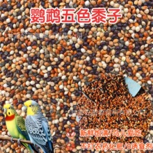 鹦鹉鸟粮饲料鸟食五色黍子带壳小米黄谷子玄凤虎皮牡丹珍珠鸟粮食