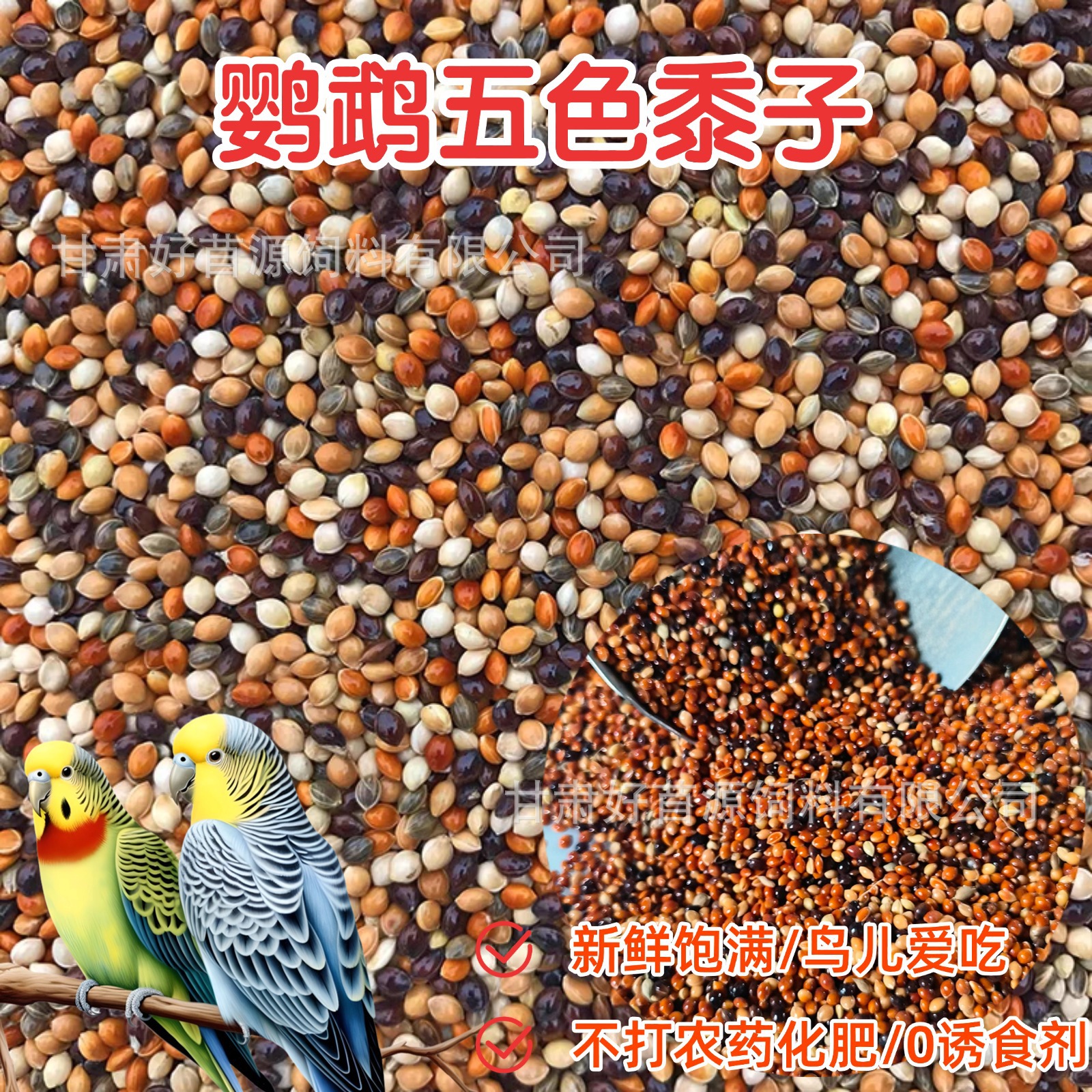 鹦鹉鸟粮饲料鸟食五色黍子带壳小米黄谷子玄凤虎皮牡丹珍珠鸟粮食