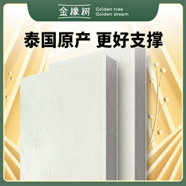 乳胶枕;乳胶床垫;其他内衣