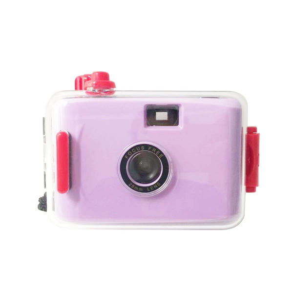 Purple red shell