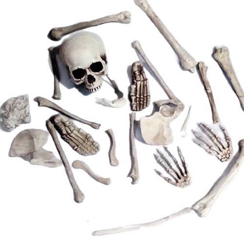 Huesos Decorativos de Utilería Set de 28 Piezas de Plástico para Halloween image 6