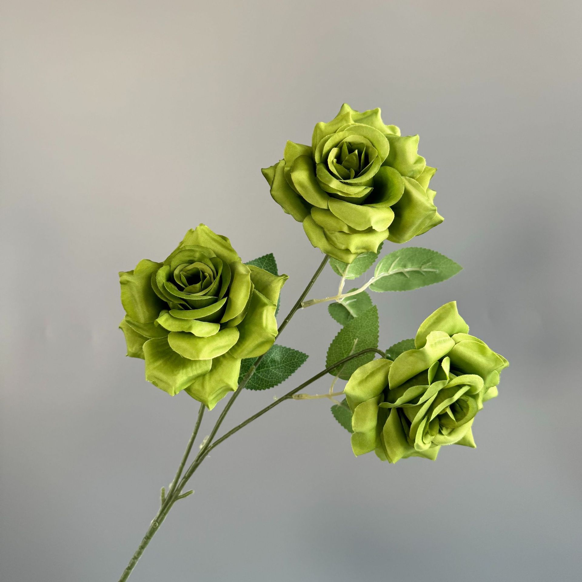 진한 녹색(잎 없음)