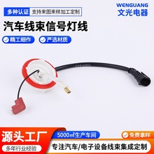 汽车转向雾灯倒车制动位置LED控制器模块接头组合连接线线束端子