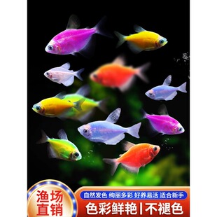 ��ʹ�~�߲��~�������O���t��ʹ�G�ϻ����͟Ꭷ���~�^�p�~���B�ͻ�