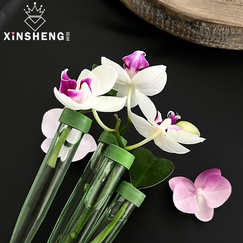 芯苼储水管带杆加长版鲜花花束保鲜营养管养花管储水小试管花店用