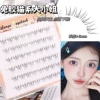 Glue-free cat style lady lower eyelashes [6 rows]