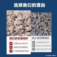 ����ɺ���� �~���쾰���r�^�V�þW���b ɺ��ɰ �~��ˮ̎������̿