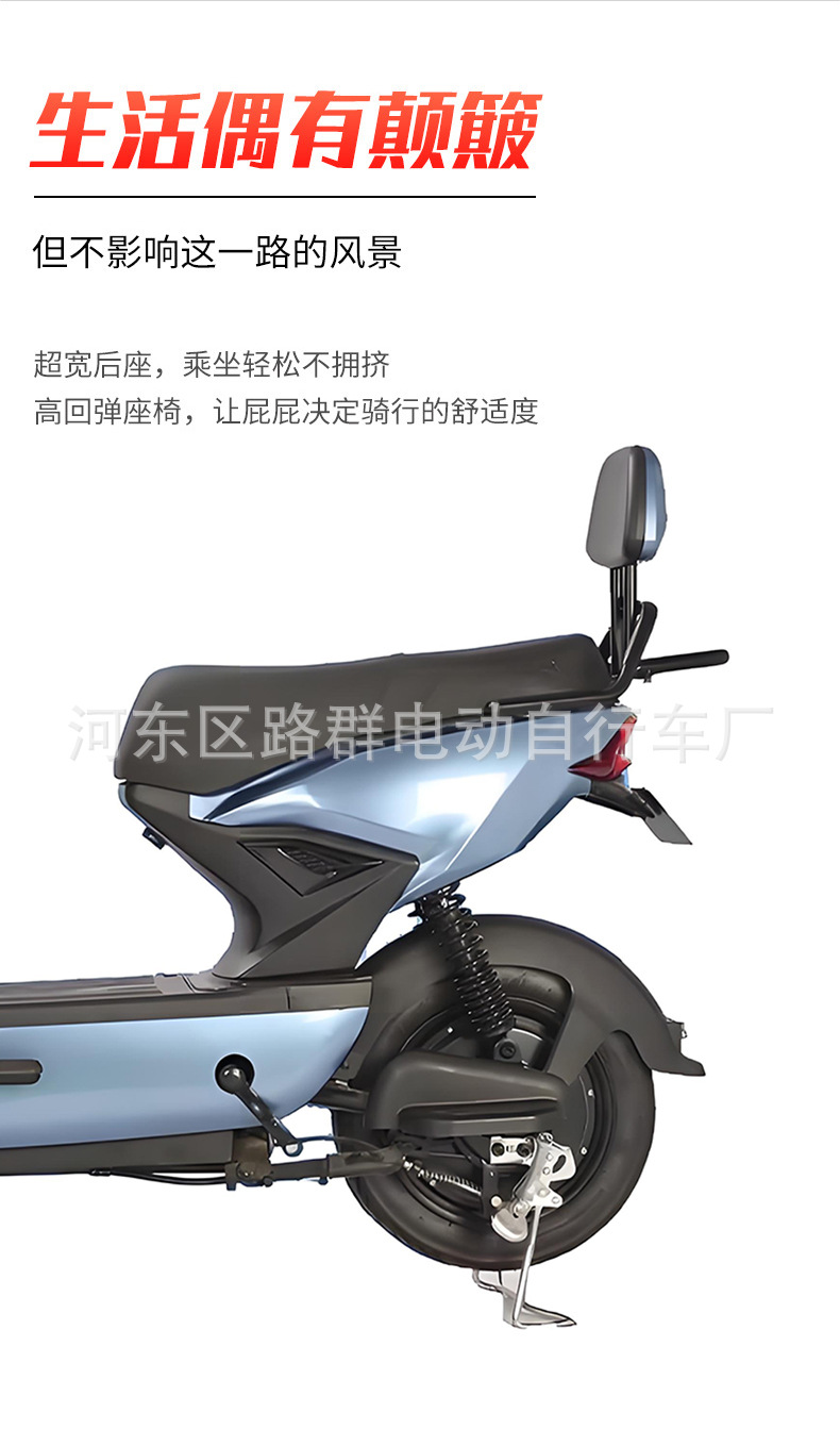 Factory Adult Electric Bicycle, Small Electric Motorcycle, Long-Distance Riding King, Mini Taxi, Electric Vehicle, Mini Portable