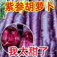 �Ϻ��}���N�Ӻ��}��ˮ���}���N��ԭ�b�ļ��߲˷N�Ӵ�ȫ�˷N�����l