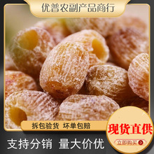 2025��؛���x��z�ۗ� ���ۗ� �󂀟o���ۗ��������Ҝ������cɢ�b