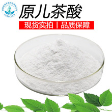 原儿茶酸98现货批发3,4-二羟基苯甲酸原儿茶酸粉表儿茶素绿茶提取