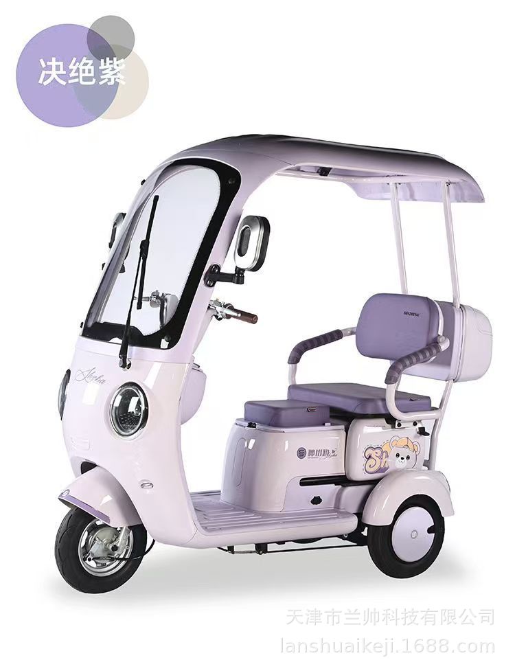 New National Standard Electric Tricycle with Canopy