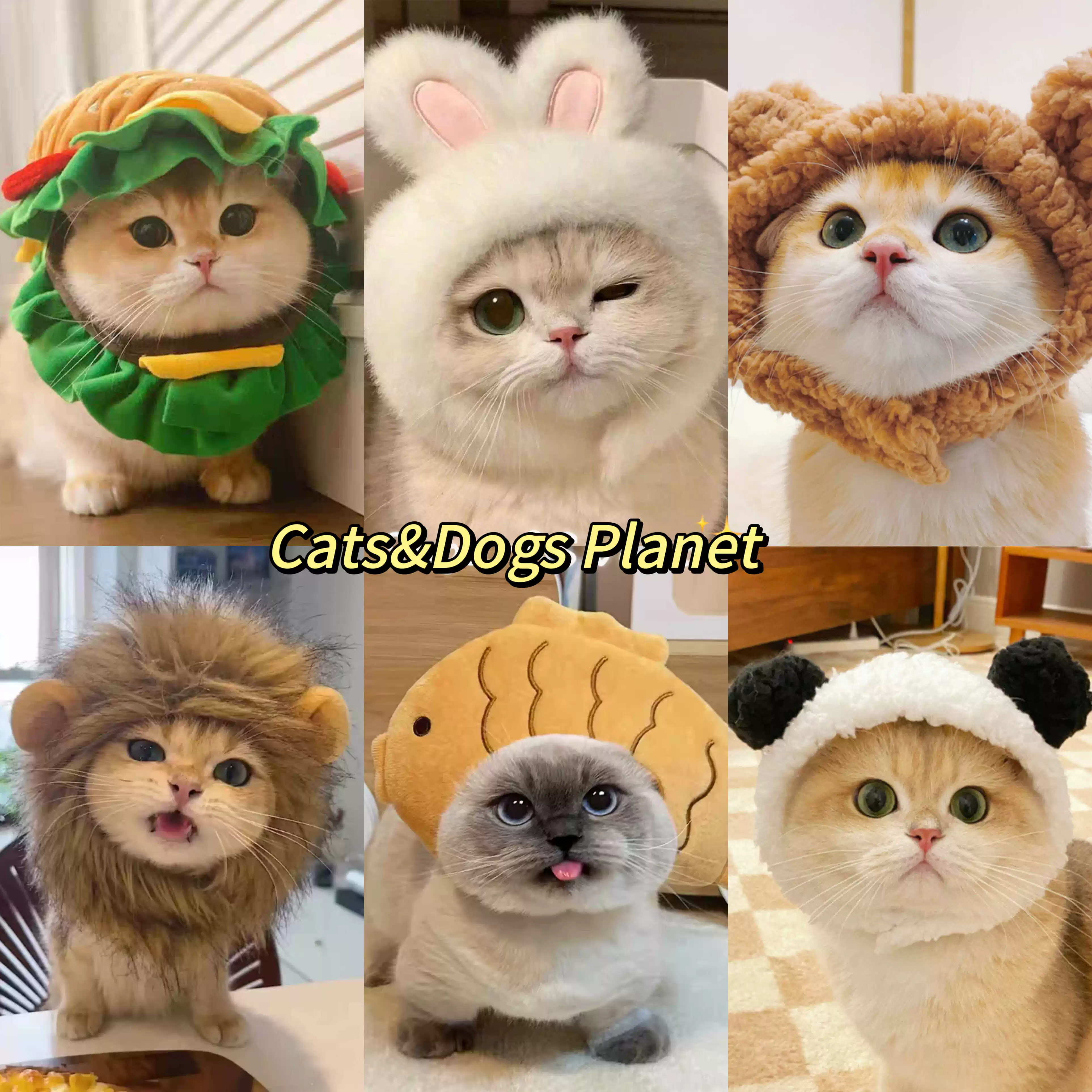 Шляпа для домашних животных, головной убор с изображением льва, золотой градиент, британский короткий синий и белый цвет, милая забавная шляпа для собак и щенков, аксессуары для переодевания