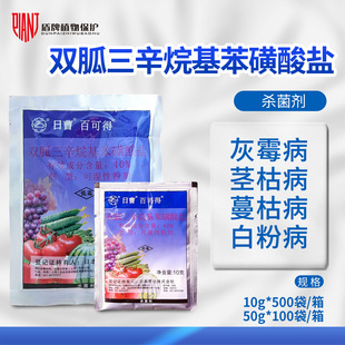 �ղܰٿɵ� 40%�p����������������}�Ϲ��߲˻�ù���rș������