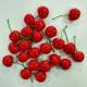 High simulation cherry cherries decorative crafts celebration gift foam simulation fruit packaging accessories ornaments fake fruit
