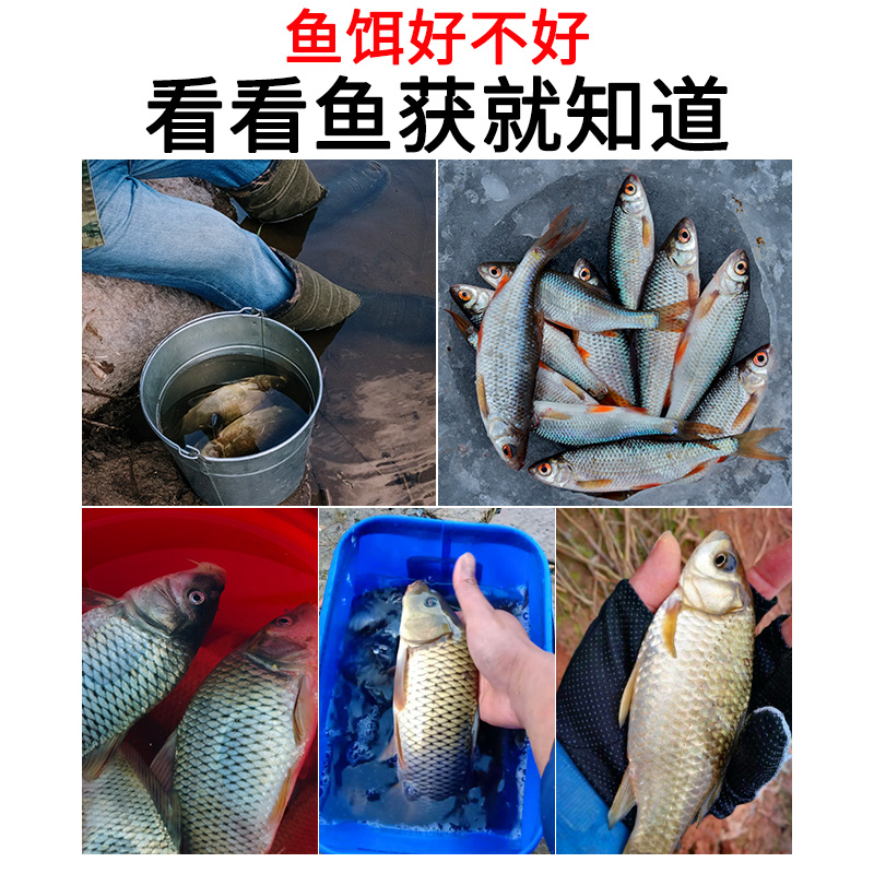 Liu Zhiqiang gato negro gato blanco gran olor pescado perfumado pescado