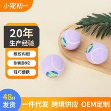 厂家现货狗狗玩具弹力网球啃咬耐咬抛掷玩具橡胶训练网球宠物用品