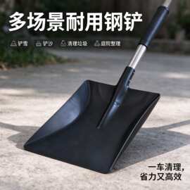 铁铲园艺小铲子 种花盆栽种菜栽花 铁锹花园狗屎铲炭铲园林工具