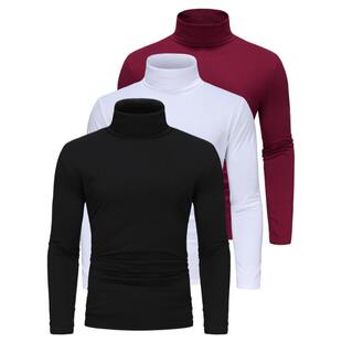 H 76050 Men's Turtleneck Sweater ��ʿ���Ië�� �羳����