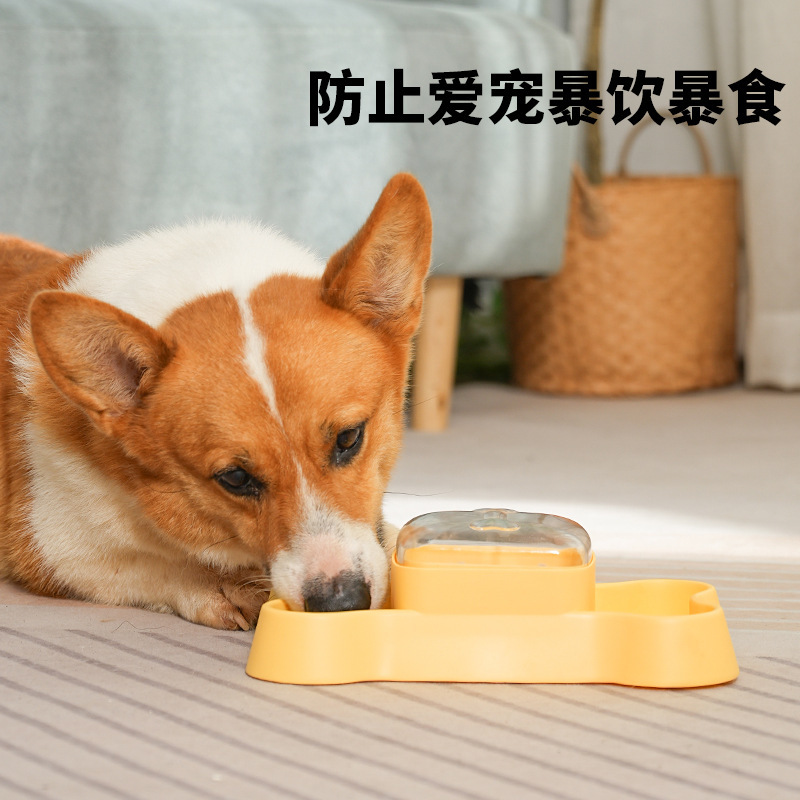 狗狗漏食器宠物喂食器按压自动缓食益智解压玩具宠物用品弹食器|undefined