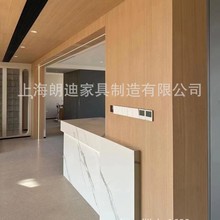 全屋设计定制通顶衣柜PET门板ENF多层板柜体橱柜壁柜玄关柜榻榻米