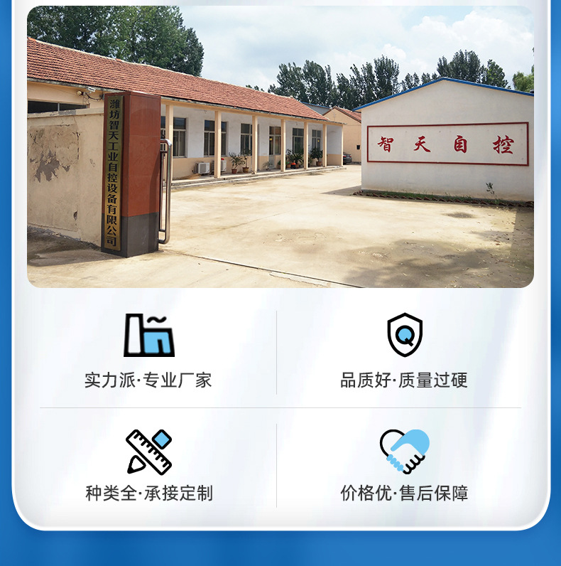 皮带秤详情切片