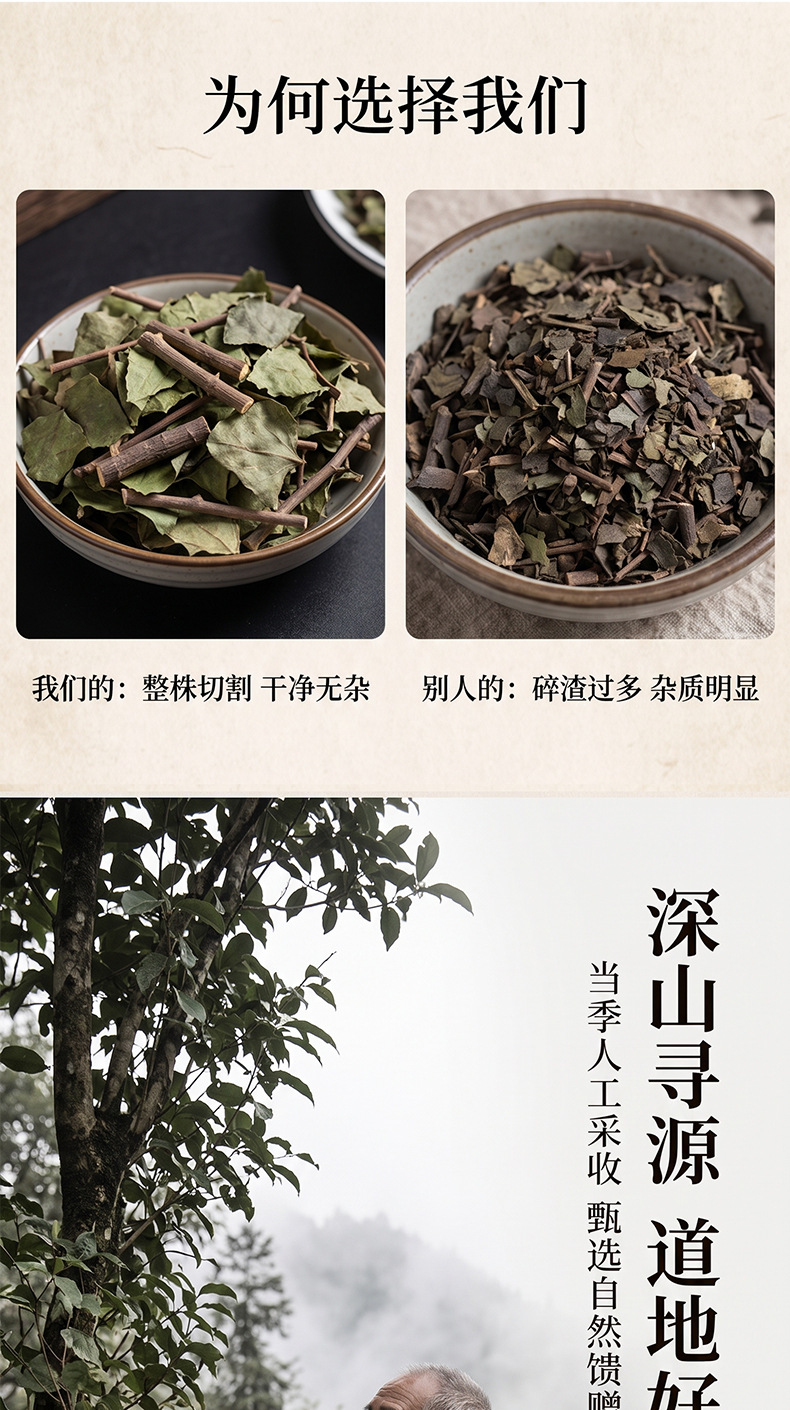 Dried Mulberry Mistletoe Sang Ji Sheng Cut Segments Natural Sun Dried Herb for Decoction and Tea 500g quality and texture