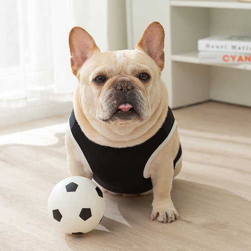 Dog clothes summer thin breathable bird's eye fabric vest bulldog medium dog sport style French bulldog pet clothing