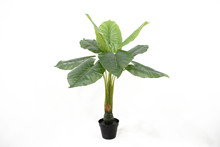 ߷溣ԄҾ҃bƷˮ^czӰbٻl