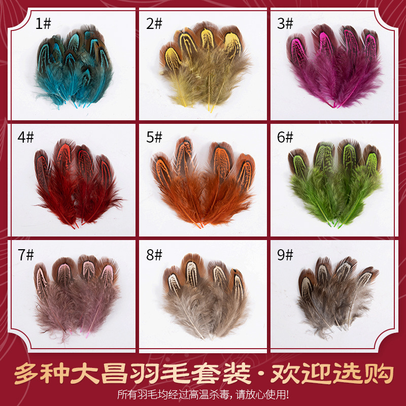 Direct Sales from the Manufacturer of Natural Colorful Pheasant Feathers, Large-Sized Original Color Feathers, Creative Materials in Multiple Colors Available Direct Sales from the Manufacturer of Natural Colorful Pheasant Feathers, Large-Sized Original Color Feathers, Creative Materials in Multiple Colors Available