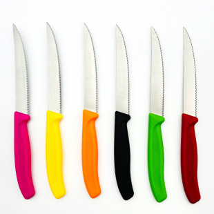 Cross-border Explosive Kitchen Household Steak Knife with Plastic Handle Stainless Steel Steak Round Head Pointed Fruit Steak Knife in stock