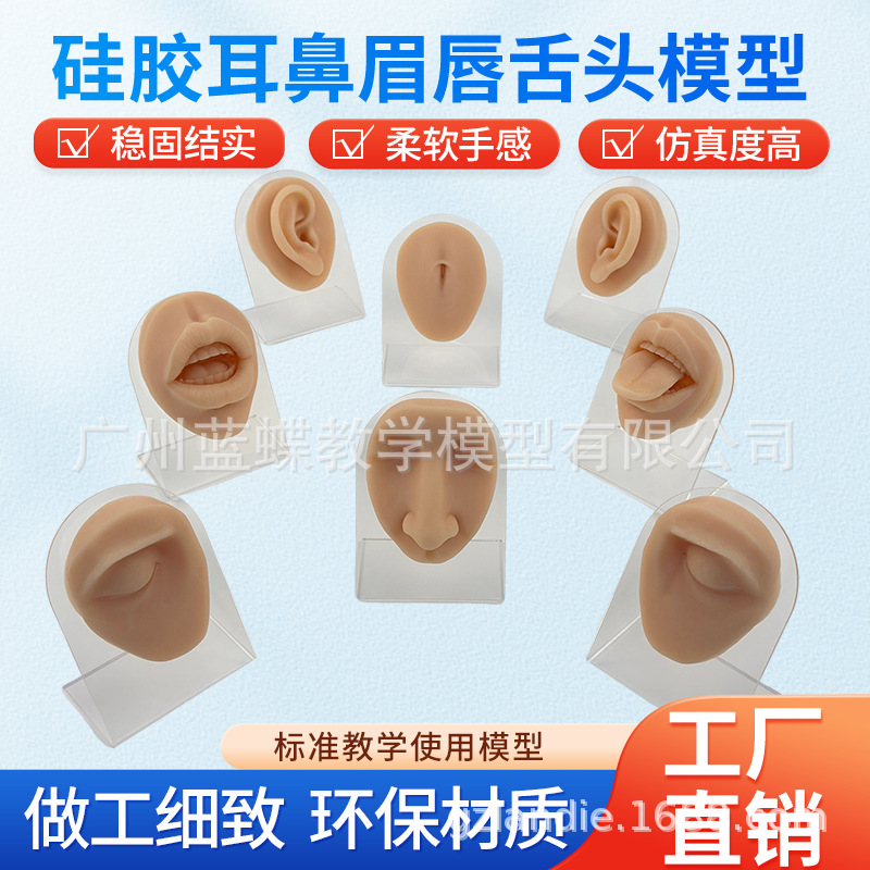 ����轺�����ϰģ�����ִ��׶�������۾�ü����ͷ�촽�궤ѧϰ