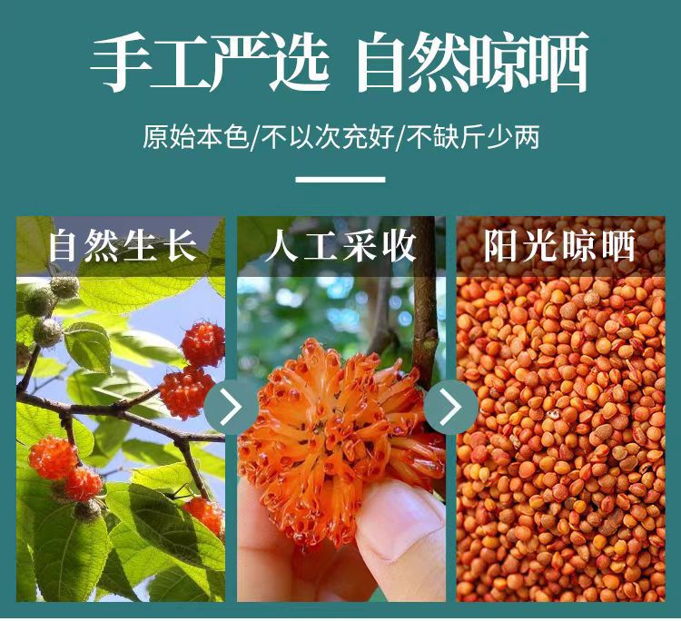 Chu Shi Zi (Broussonetia papyrifera Fruit) — Dried Food Herb, 500g Origin-Direct key features