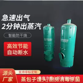蒸汽发生器;燃煤锅炉;燃气锅炉