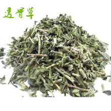 ͸�ǲ�500����д���ș�������������]����Ұ��͸�ǲݳ����ܷ�