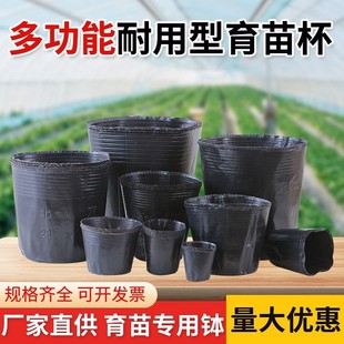 ����һ���Ժ�ɫ��������l�I�B�����籭�Nֲ������������I�B��