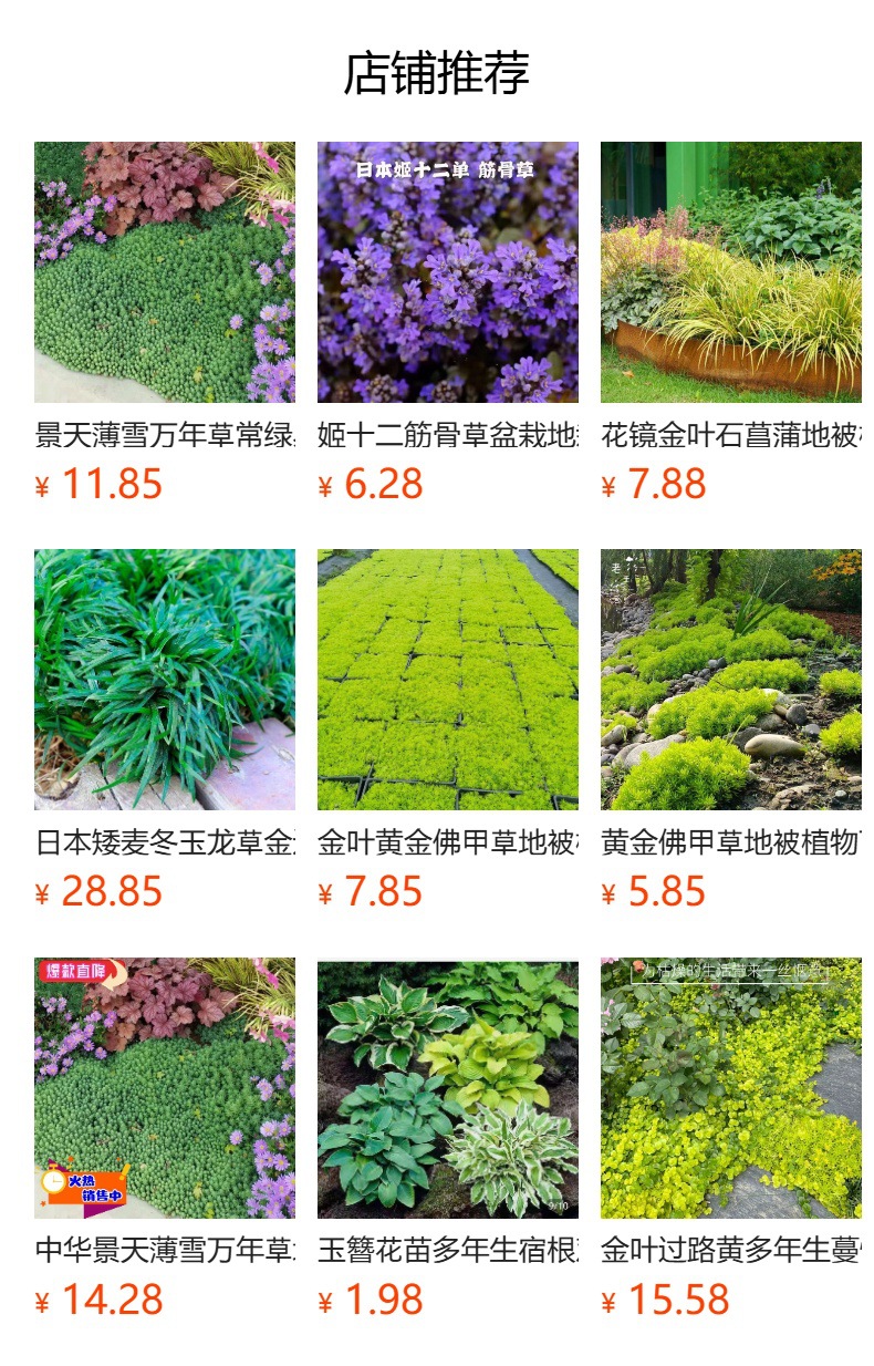 详情图