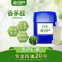 单体天然量大日化香茅醛