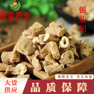 �y������l�y������l �y����� ������؛ ����ă� �y���