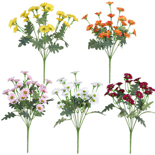 ���滨��ʾ�С�r��СҰ��ins�Ҿӻ�c�b����m��С����С�ѻ�