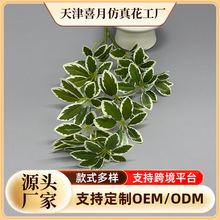 羳cGֲ~ľX~ӆYǫ̃b