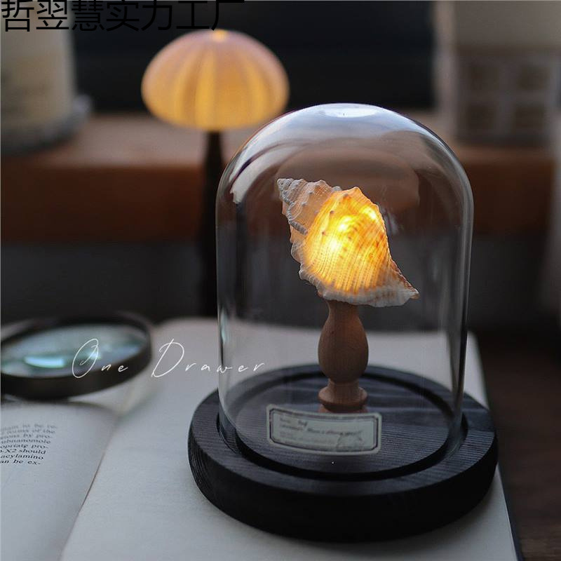 Ocean Island Retro Shell Sea Urchin Conch Lamp Night Light Ornaments Handmade DIY Material Package Mid-Autumn Festival Gift