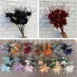 ��횕һ��������滨�^�ζ����ϕһ��ٻ� ���������l��diy����