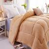 Autumn and winter new pattern Sherpa quilt thickening Winter quilt keep warm The quilt core winter Gift wrap Imitation wool Manufactor Direct selling
