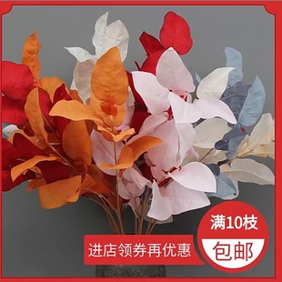 �S��ֱ�N�������~���滨��c��ˇ��Ƭ�~��·�����Ų廨��Y���~��