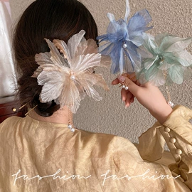 耳环;项链;发夹