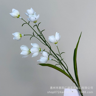 ��֦��m���L⏻�����ٻ��Ҿӿ͏d�����[�O�b��仨��Y��ˇ�[��