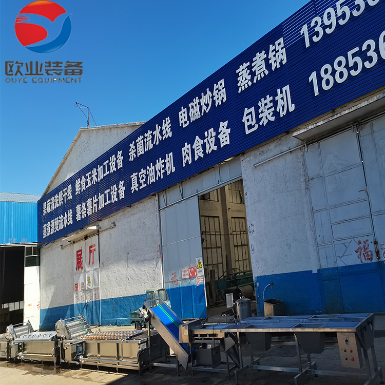 源头厂家 竹笋清洗流水线 木耳气泡清洗机 免费安装 售后无忧