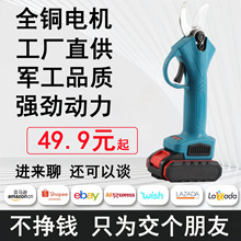 ���S���l�ֳ�ʽ�늼���21V�o�K�䏿羳���R�d����@���޼�