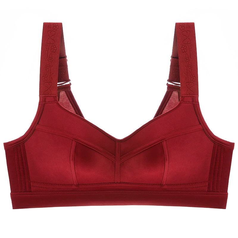 Glossy Satin Bra, Plus Size, Wide Adjustable Straps, Sizes 34–52 (C–E)